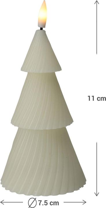 Image du produit Bougie LED cire réelle sapin 11 cr (1 x)