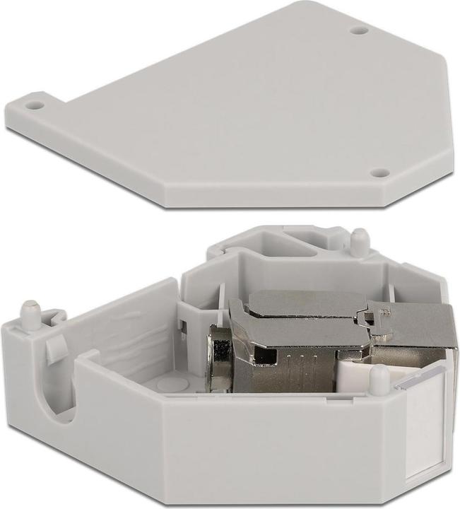 Actual product image Delock DIN rail holder with keystone module RJ45 jack Cat.6A LSA (Keystone module holder)