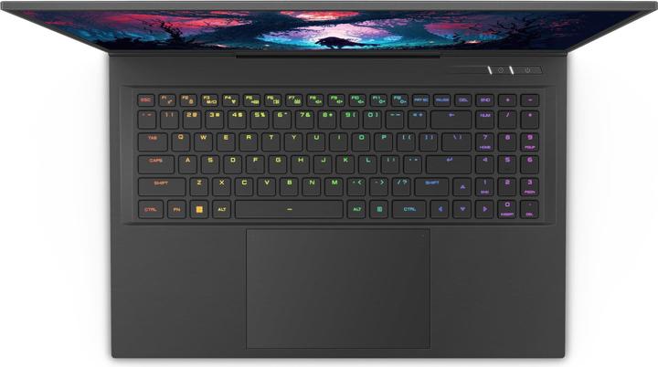 Actual product image Captiva I81-491 RTX 4070 (17.30", Intel Core i9-14900HX, 64 GB, 1000 GB, DE)