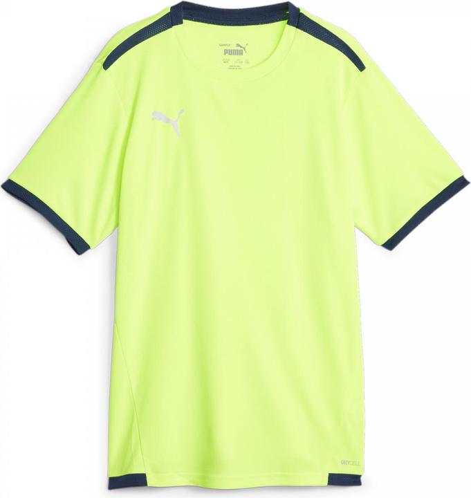 Actual product image Puma teamLIGA Jersey Jr-704925 (176)