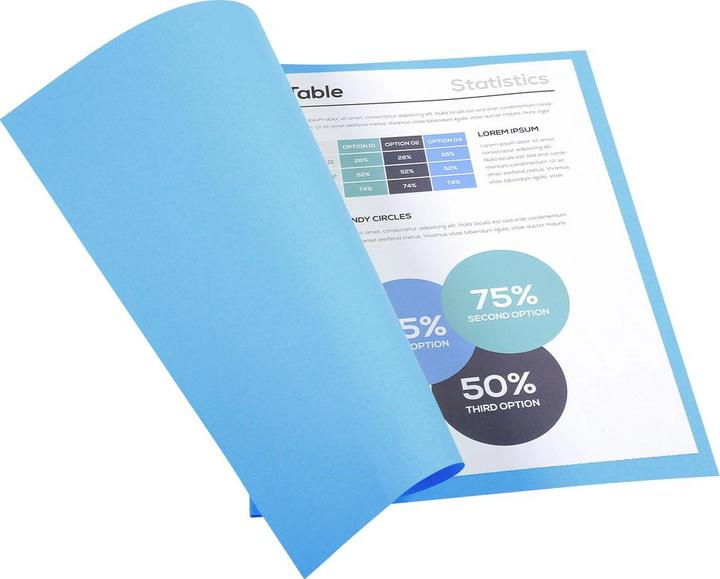 Produktbild Exacompta Sammelmappen - Aktendeckel (24 x 32 cm, 100 x)