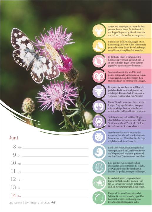 Actual product image Harenberg Horoskope Wochenkalender 2026 - Wochenkalender mit Prognosen für alle Sternzeichen (German)