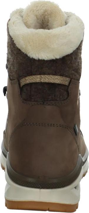 Produktbild Lowa Renegade Evo Ice GTX Ws (39.5)