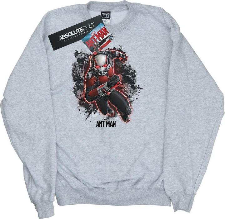 Produktbild Jungen AntMan Ameisen Running Sweatshirt (140, 146)