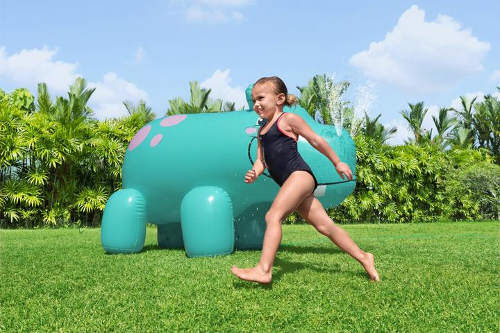 Image du produit Bestway Hippo