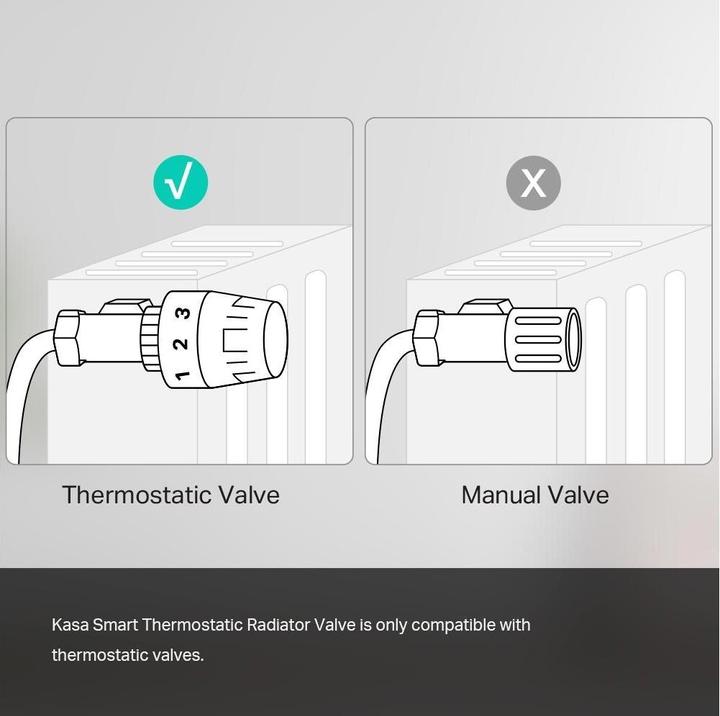 Actual product image TP-Link KE100 - Kasa