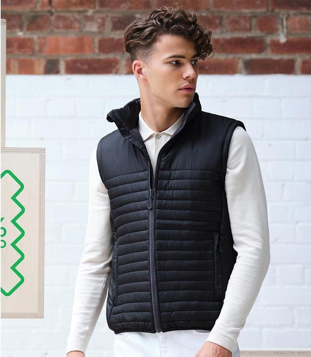 Image du produit Regatta Gilet recyclé Honestly Made (L)