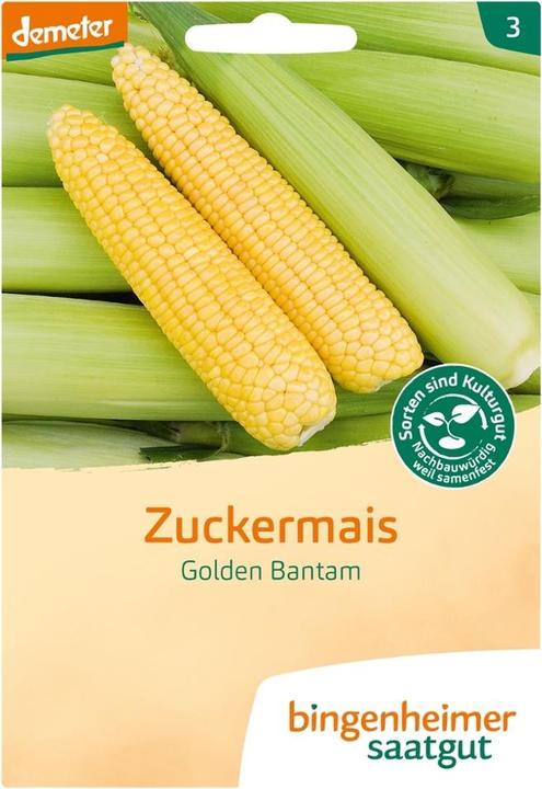 Bingenheimer Saatgut V! Zuckermais Golden Bantam