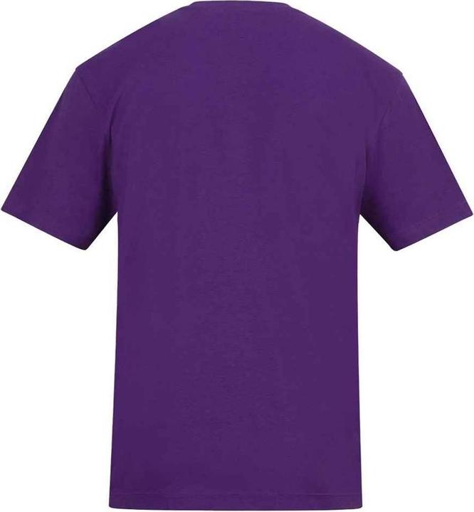 Actual product image Awdis Unisex Adult 150 T-Shirt (XL)