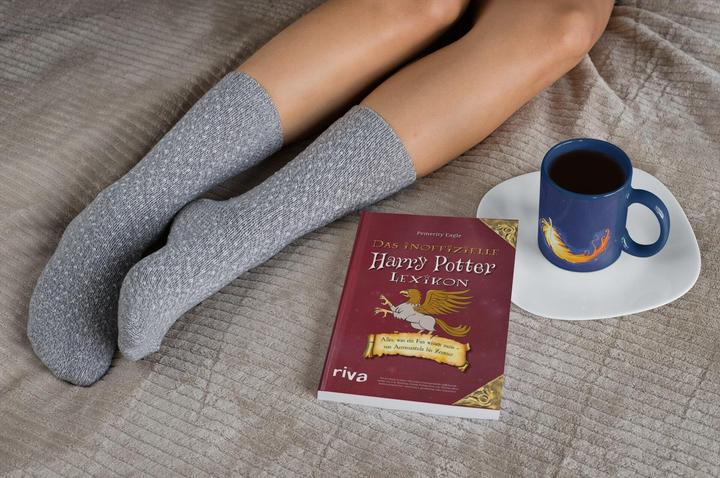 Produktbild Das inoffizielle Harry-Potter-Lexikon (Deutsch, Pemerity Eagle, 2018)