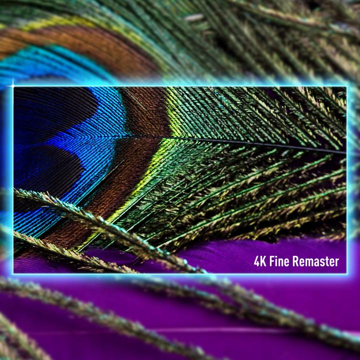 Image du produit Panasonic TV-65Z85AEG (65", OLED, 4K, 2024)