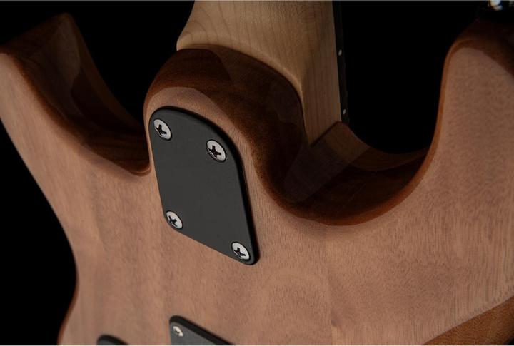 Actual product image PRS SE CE 24 (Electric guitar, Mahogany, Rosewood, Maple)