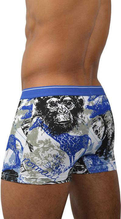 Image du produit Normani 6 boxers rétro en coton (XL, paquet de 6)