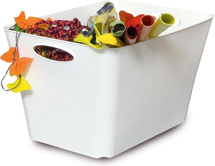 Immagine prodotto Rotho Livingbox (39,5 x 31 x 52,5 cm, 44 l)