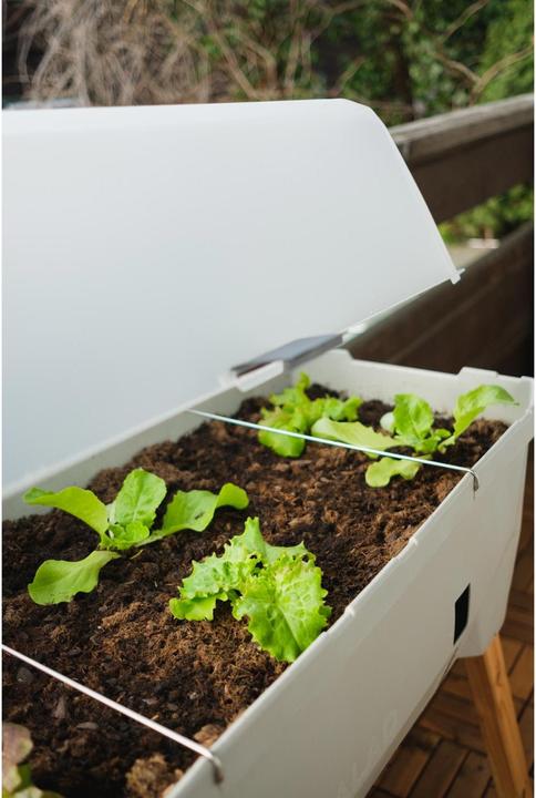Produktbild Gusta Garden Sammy Salad