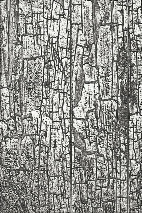 Actual product image Sizzix 3D embossing stencil "Cracked by Tim Holtz"