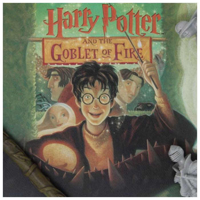 Produktbild Fanattik Harry Potter: Goblet of Fire Book Cover Artwork (42 x 30 cm)