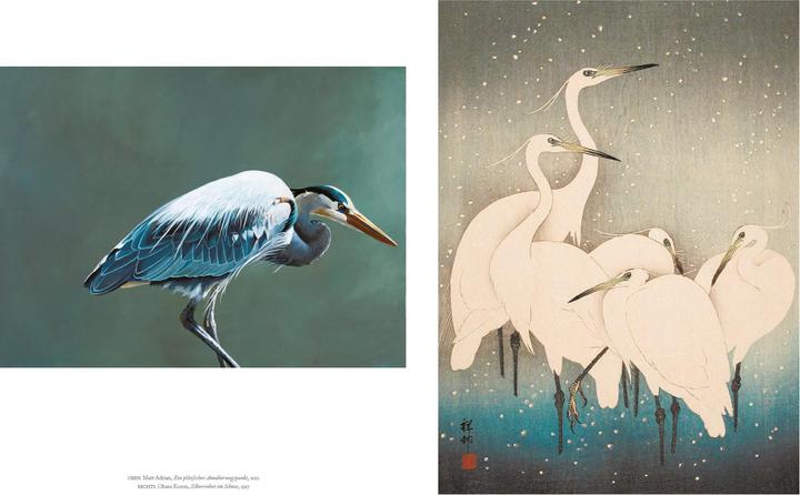 Produktbild Vögel in der Kunst (Deutsch, Kendra Wilson, 2020)