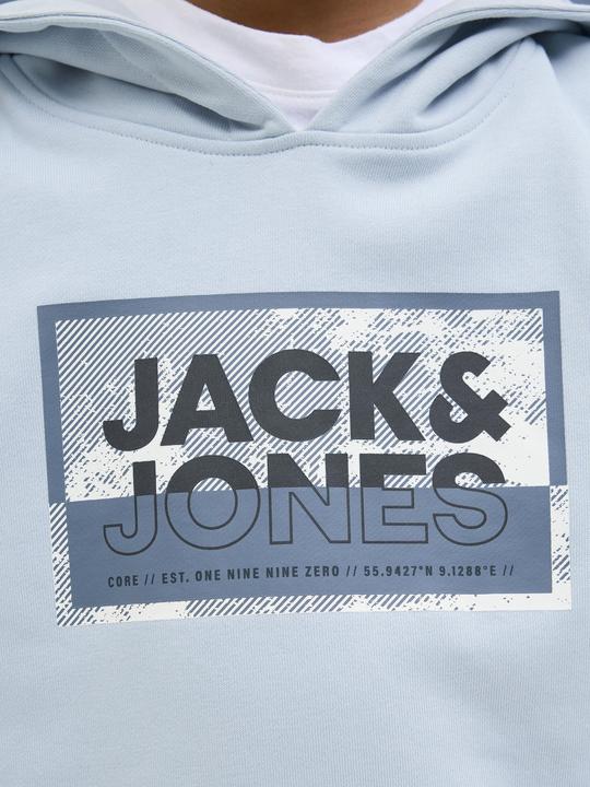 Actual product image Jack & Jones Jcologan Ss24 Print Sweat Hood Sn Jnr (164)