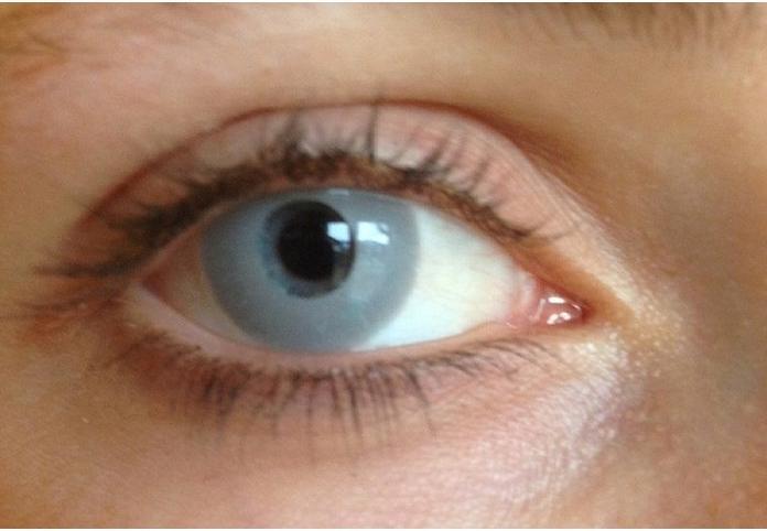 Actual product image Zoelibat Contact lenses Vampire Grey (Grey)