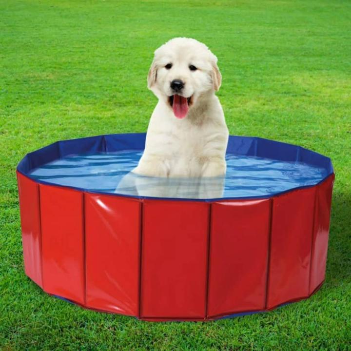 Immagine prodotto PETS Collection Piscina per cani (Piscina per cani)