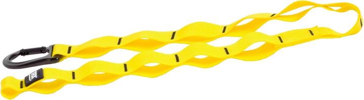 Actual product image TRX Suspension Anchor with Carabiner