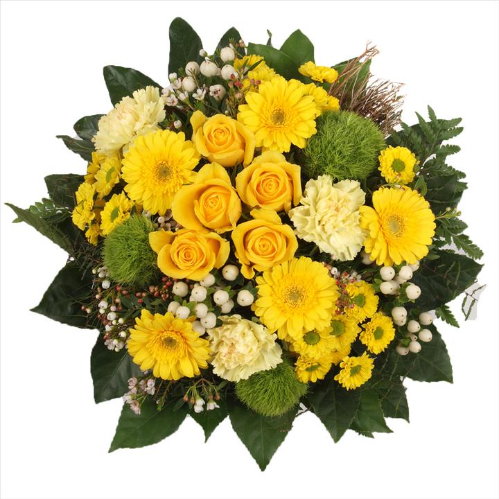 Actual product image Floramall Sunbeam