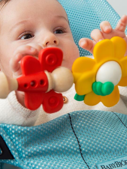 Image du produit BabyBjörn Amis volants