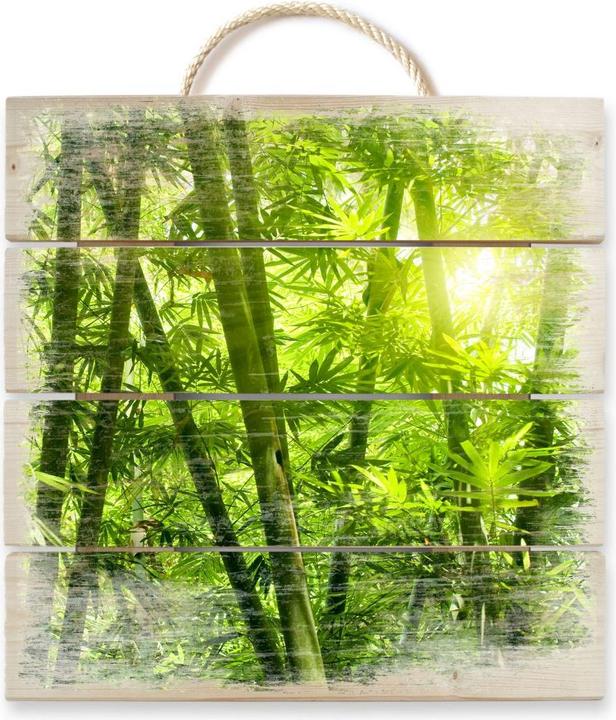 Produktbild Trenddeko Sonnenschein im Bambuswald (40 x 41.5 cm)
