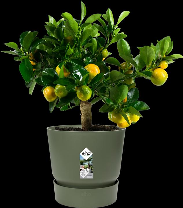 Image du produit Elho pots de fleurs (29.50 cm)