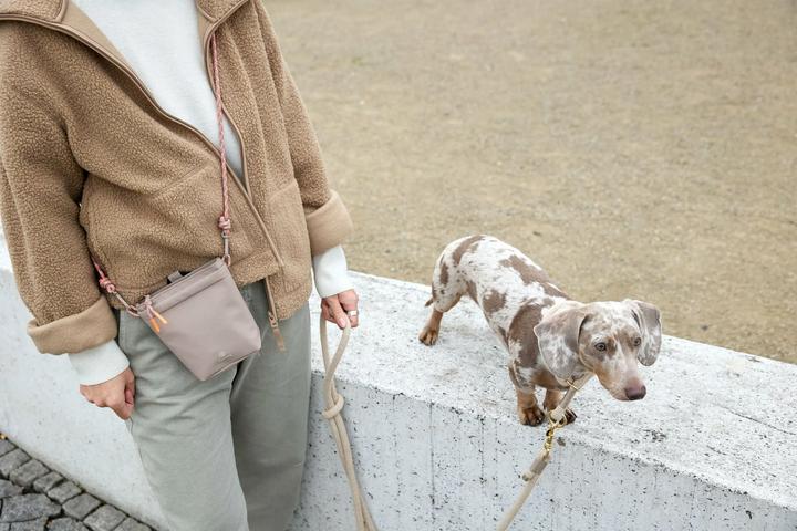 Actual product image Palopa Karl (Agility)