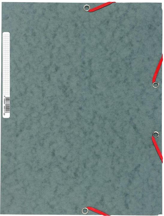 Actual product image Biella Viria (A4, 31 mm, 1 Piece)