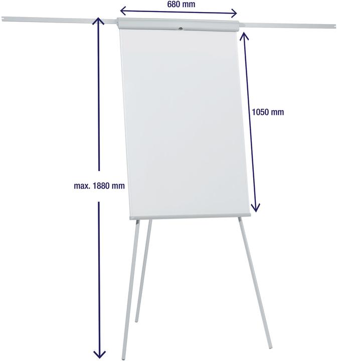 Actual product image Franken Line Standard Plus (70 x 110 cm)