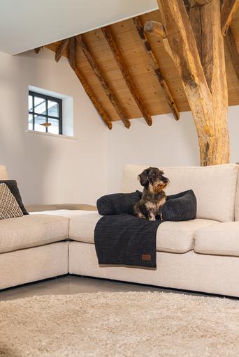 Image du produit Designed by Lotte Ribbed (Chien)