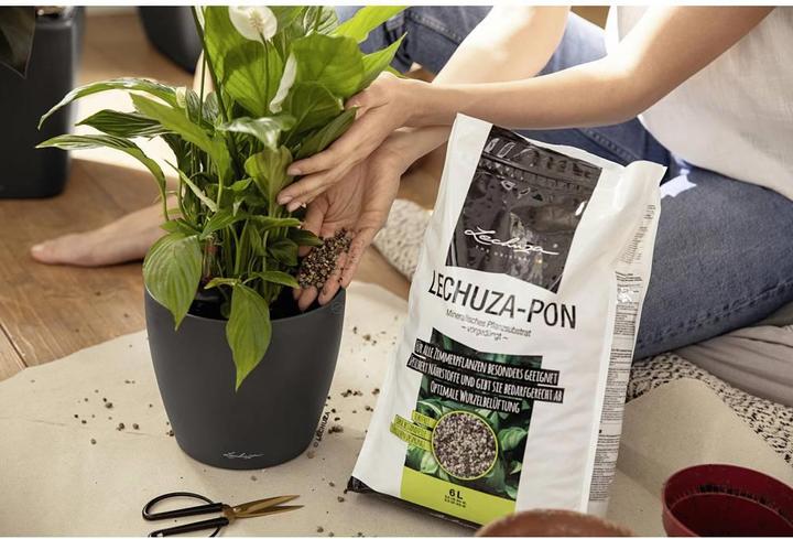 Produktbild Lechuza Pon (6 l)