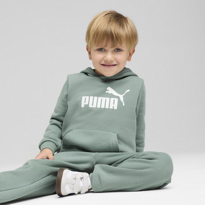 Image du produit Puma Sweat à capuche ESS No. 1 Logo FL PS (110)