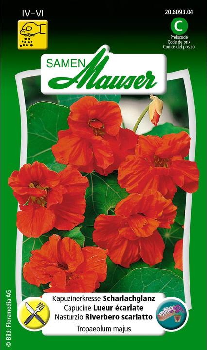 Actual product image Samen Mauser Nasturtium scarlet sheen (Herb seeds)
