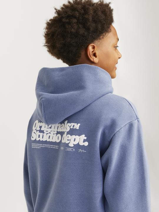 Image du produit Jack & Jones Sweat à capuche JORVERMONT (176)