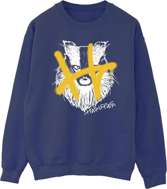 Image du produit - Sweat HUFFLEPUFF POP SPRAY - Homme (XL)
