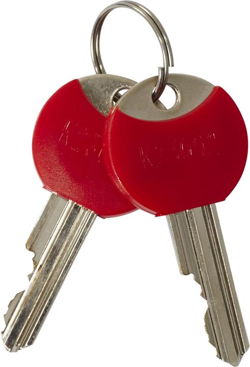 Image du produit Trelock Antivol à chaîne BC 515