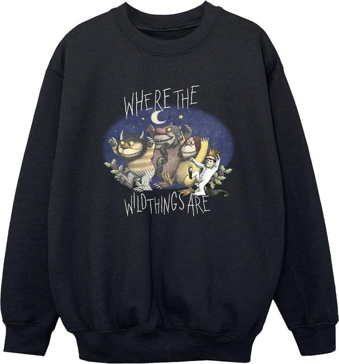 Produktbild Where The Wild Things Are Sweatshirt Jungen (152, 158)