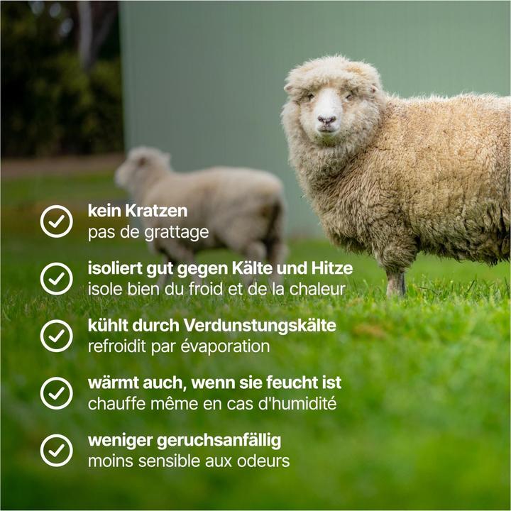 Image du produit Lasting FWL Chaussettes en mérinos (Une unité par pack, S, M, L, XL)