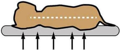 Image du produit Petlando Coussin pour chien Merano Ortho, Tabaco (Chien)