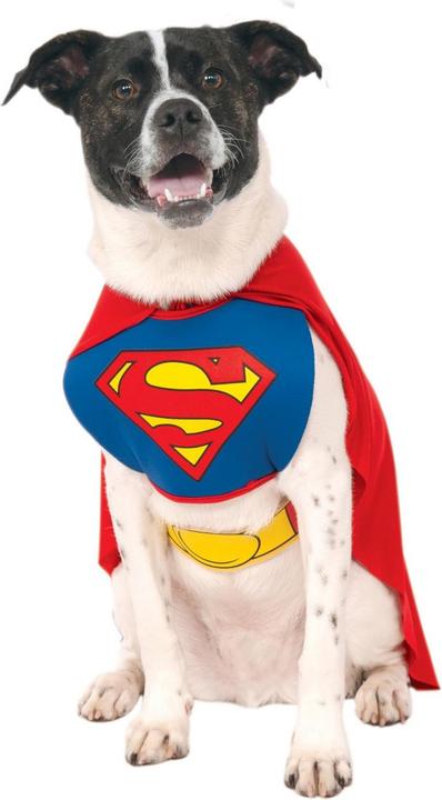 Actual product image Superman Dog costume (XL, Dog costume)