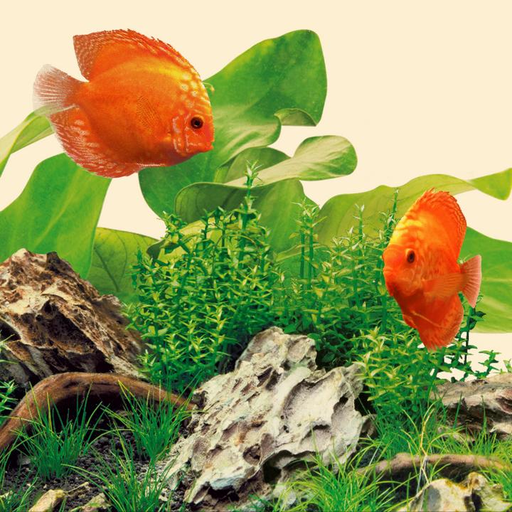 Produktbild Juwel Aquarium LED Nature (LED, 29 W)