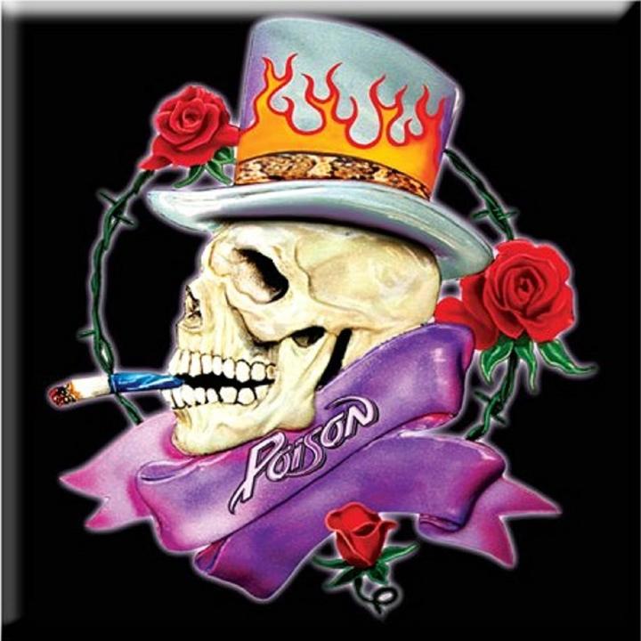 Actual product image Poison Skull Fridge Magnet (1 x)