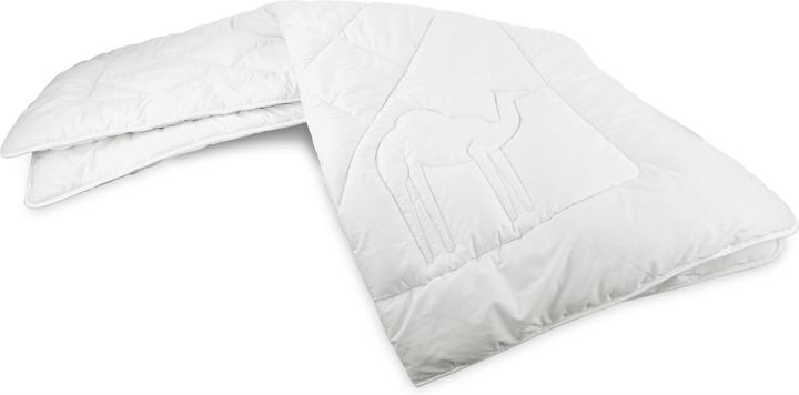 Immagine prodotto Aspero Piumino in pelo di cammello RENNES (2300 g, 155 x 220 cm)
