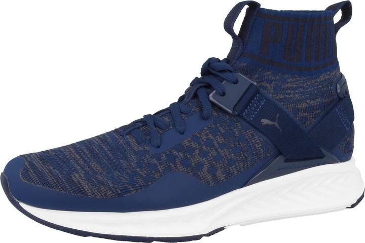 Puma IGNITE evoKNIT (43)
