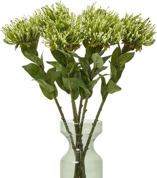 Immagine prodotto Hill Interiors Stelo di Protea Lorea Pianta artificiale (73 cm)