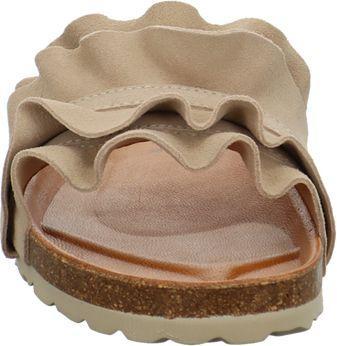 Image du produit Verbenas Rocio (40)